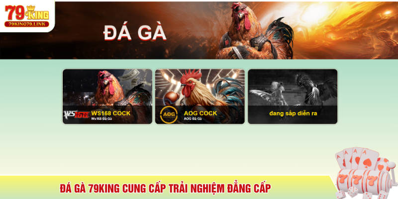 Đá Gà 79King cung cấp trải nghiệm đẳng cấp