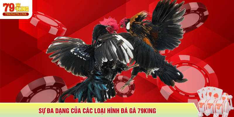 Sự đa dạng của các loại hình Đá Gà 79King